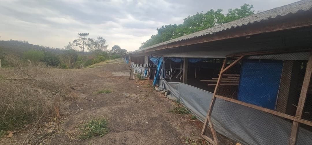 Sítio à Venda na Região Sul de Londrina - 6,5 Hectares com Aviário, Casa Sede e Estrutura Completa - Foto 8