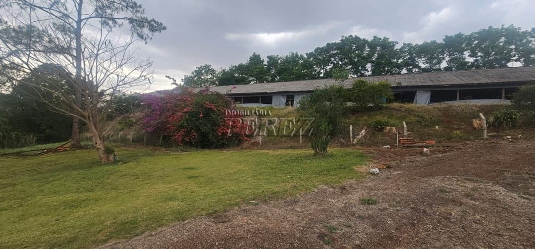 Sítio à Venda na Região Sul de Londrina - 6,5 Hectares com Aviário, Casa Sede e Estrutura Completa - Foto 6