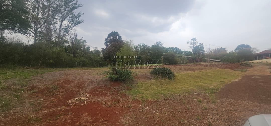 Sítio à Venda na Região Sul de Londrina - 6,5 Hectares com Aviário, Casa Sede e Estrutura Completa - Foto 1