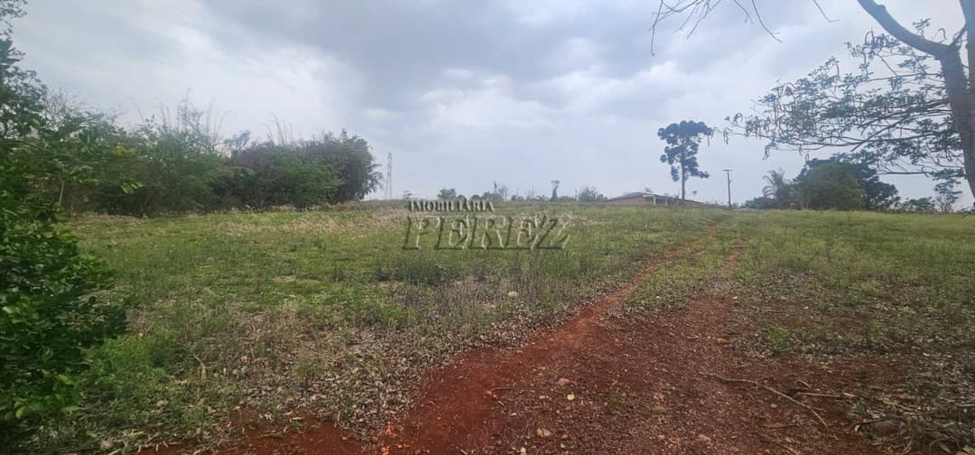 Sítio à Venda na Região Sul de Londrina - 6,5 Hectares com Aviário, Casa Sede e Estrutura Completa - Foto 16