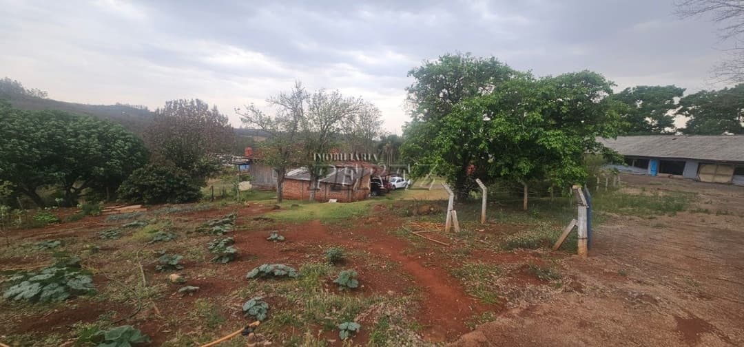 Sítio à Venda na Região Sul de Londrina - 6,5 Hectares com Aviário, Casa Sede e Estrutura Completa - Foto 15