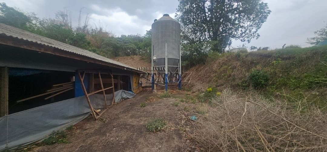 Sítio à Venda na Região Sul de Londrina - 6,5 Hectares com Aviário, Casa Sede e Estrutura Completa - Foto 4
