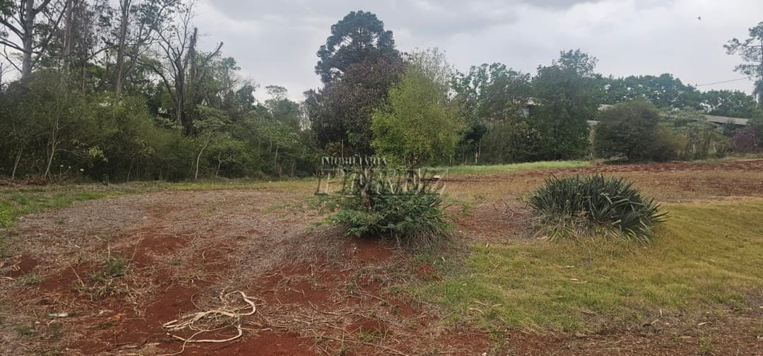 Sítio à Venda na Região Sul de Londrina - 6,5 Hectares com Aviário, Casa Sede e Estrutura Completa - Foto 3