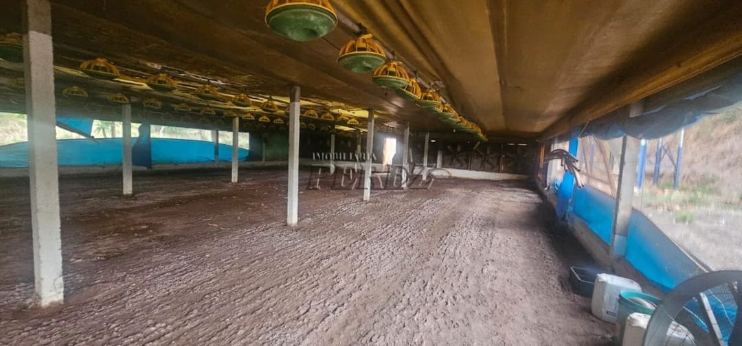 Sítio à Venda na Região Sul de Londrina - 6,5 Hectares com Aviário, Casa Sede e Estrutura Completa - Foto 13