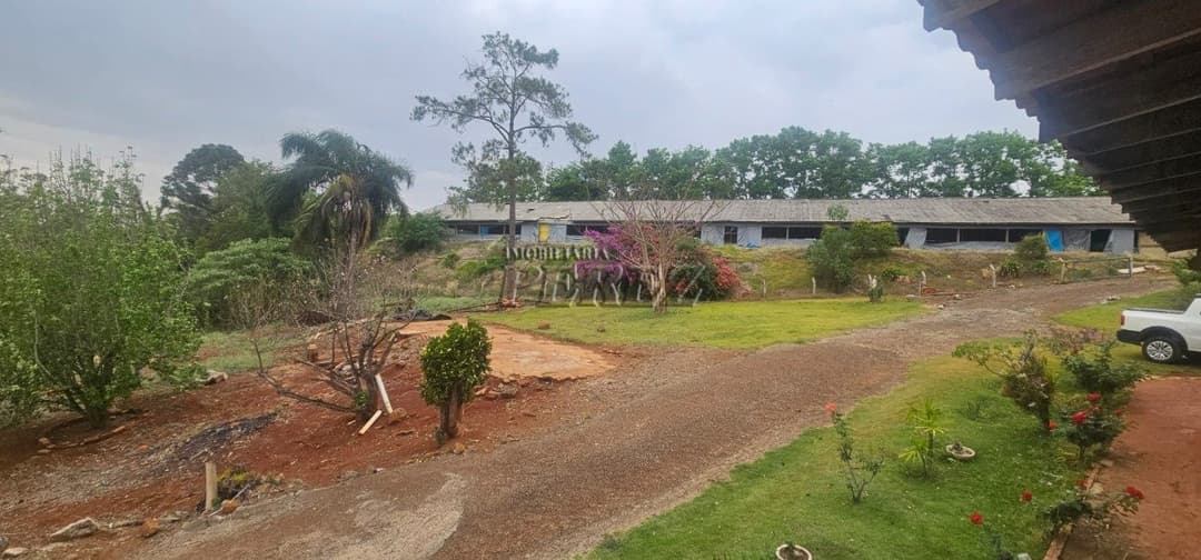 Sítio à Venda na Região Sul de Londrina - 6,5 Hectares com Aviário, Casa Sede e Estrutura Completa - Foto 21