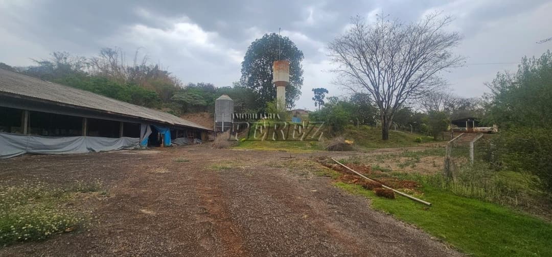 Sítio à Venda na Região Sul de Londrina - 6,5 Hectares com Aviário, Casa Sede e Estrutura Completa - Foto 5