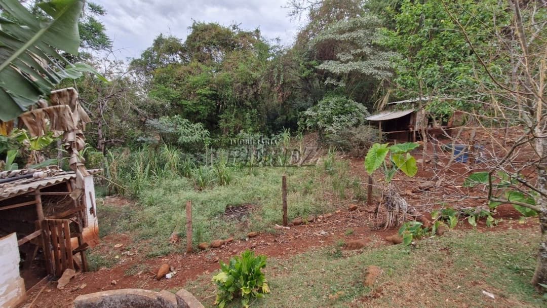 Chácara à venda de 4.349,75m² na Zona Sul de Londrina! - Foto 9