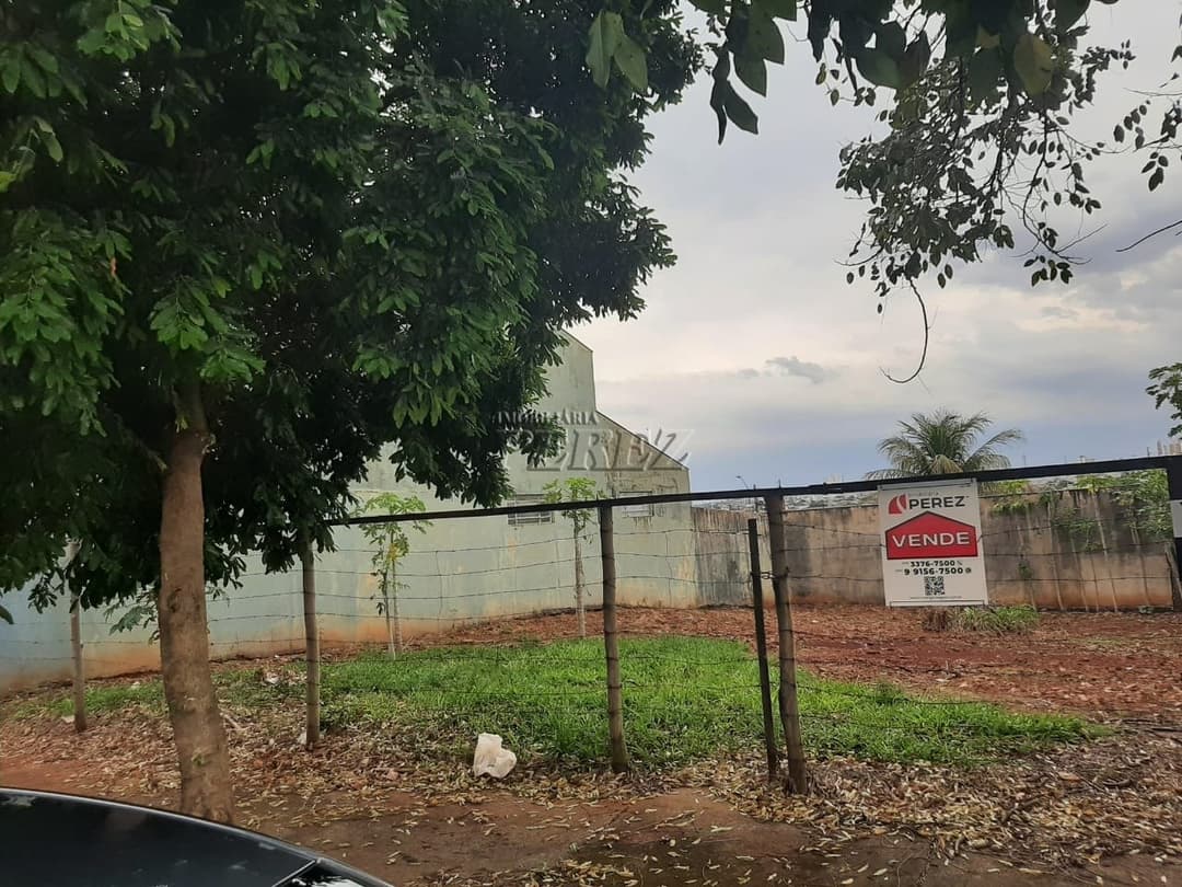 Terreno plano à venda - excelente oportunidade para construir o seu projeto! - Foto 1