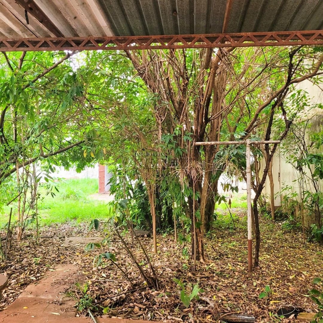 Casa à venda na região central em Londrina - Amplo Terreno e Potencial Residencial ou Comercial! - Foto 8