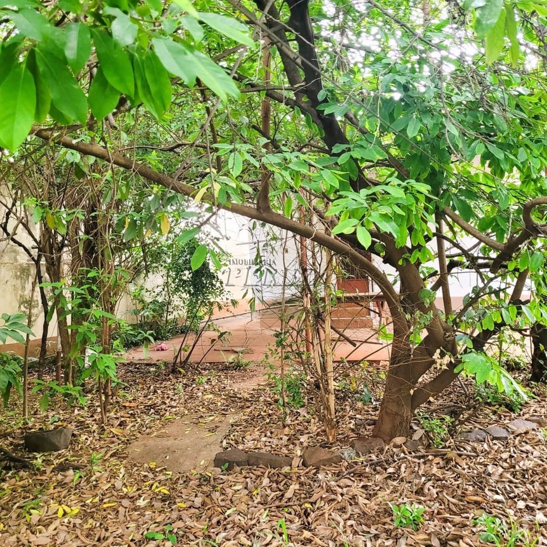 Casa à venda na região central em Londrina - Amplo Terreno e Potencial Residencial ou Comercial! - Foto 9