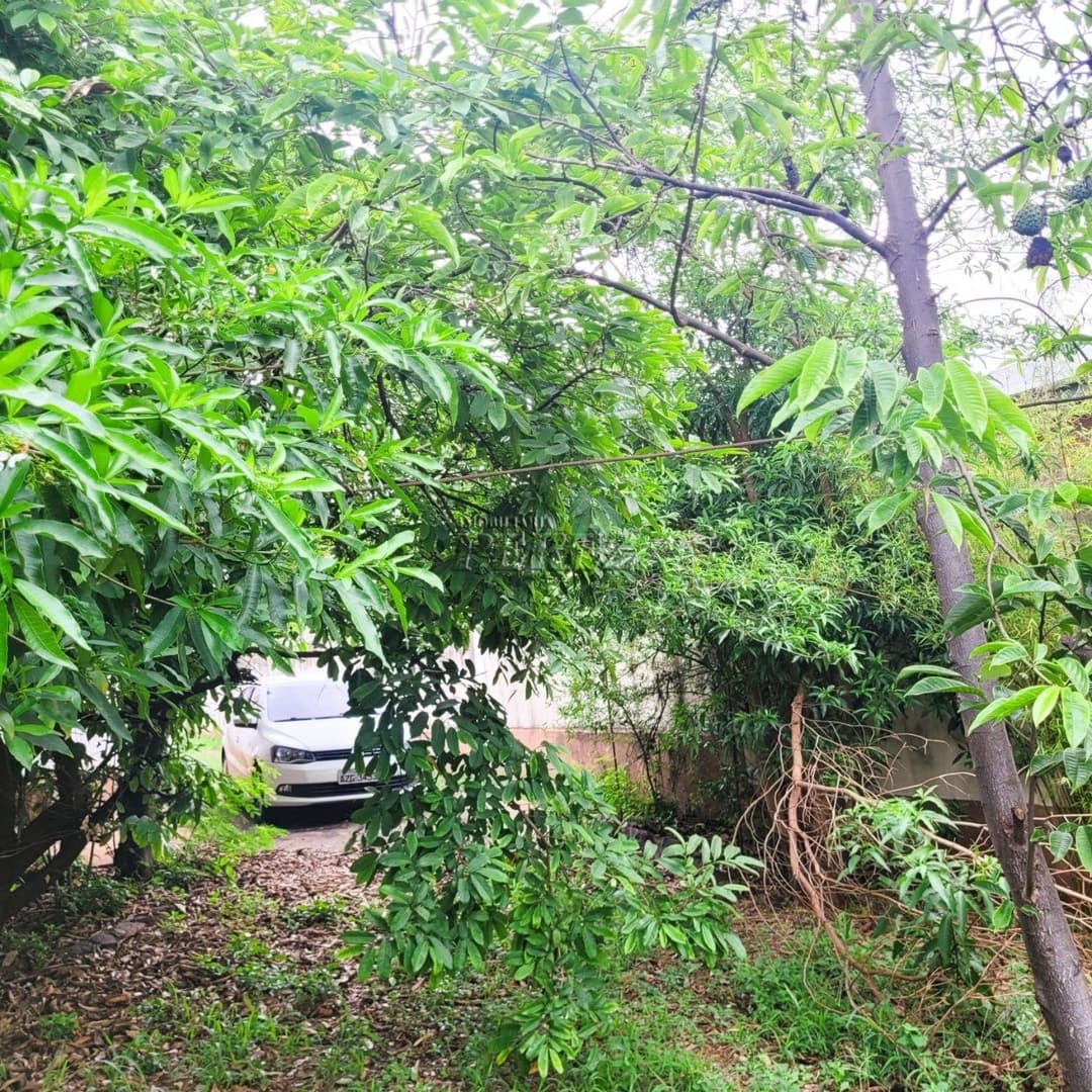 Casa à venda na região central em Londrina - Amplo Terreno e Potencial Residencial ou Comercial! - Foto 11