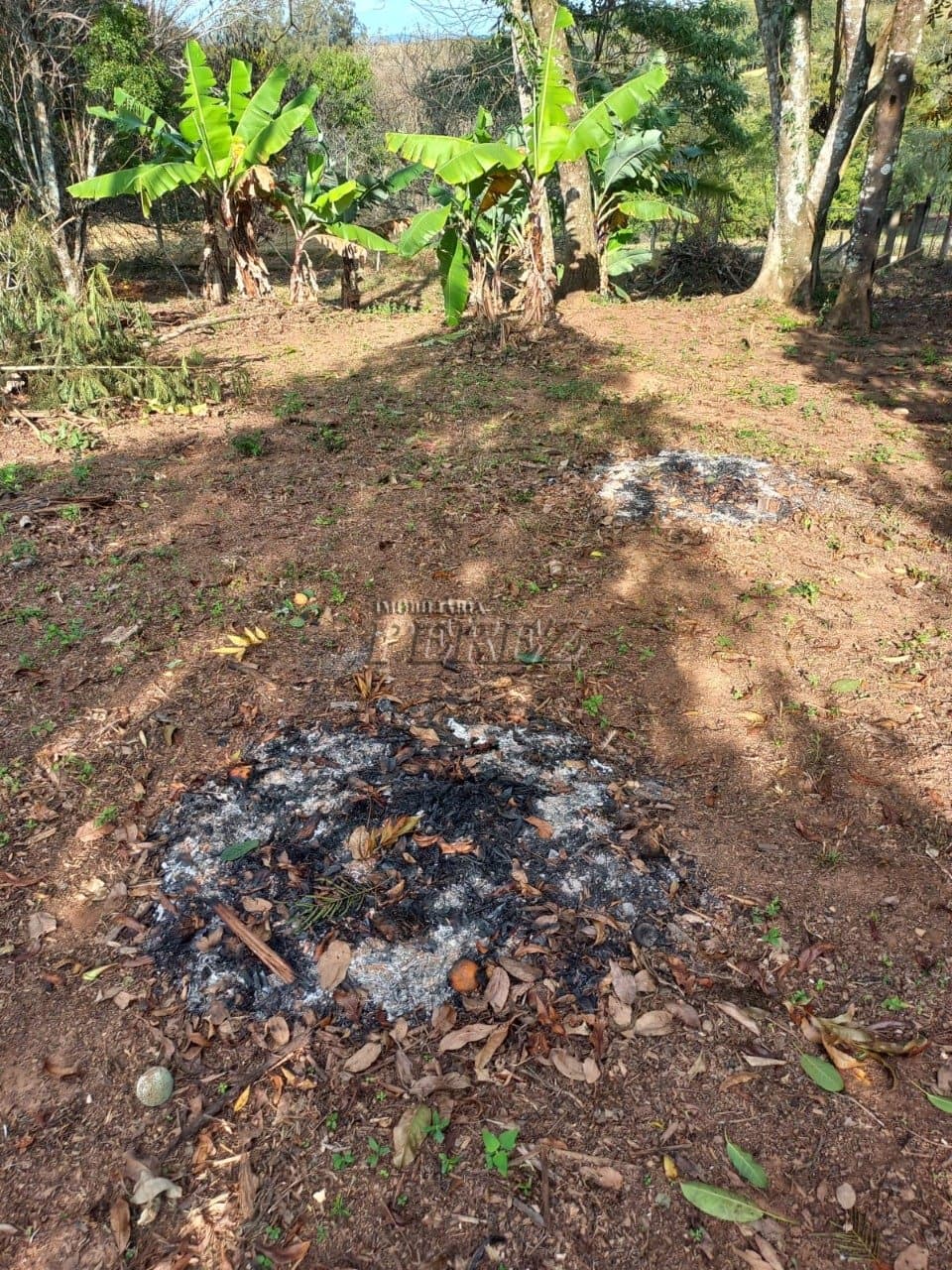 Terreno com construção à venda em Curiúva - Foto 4