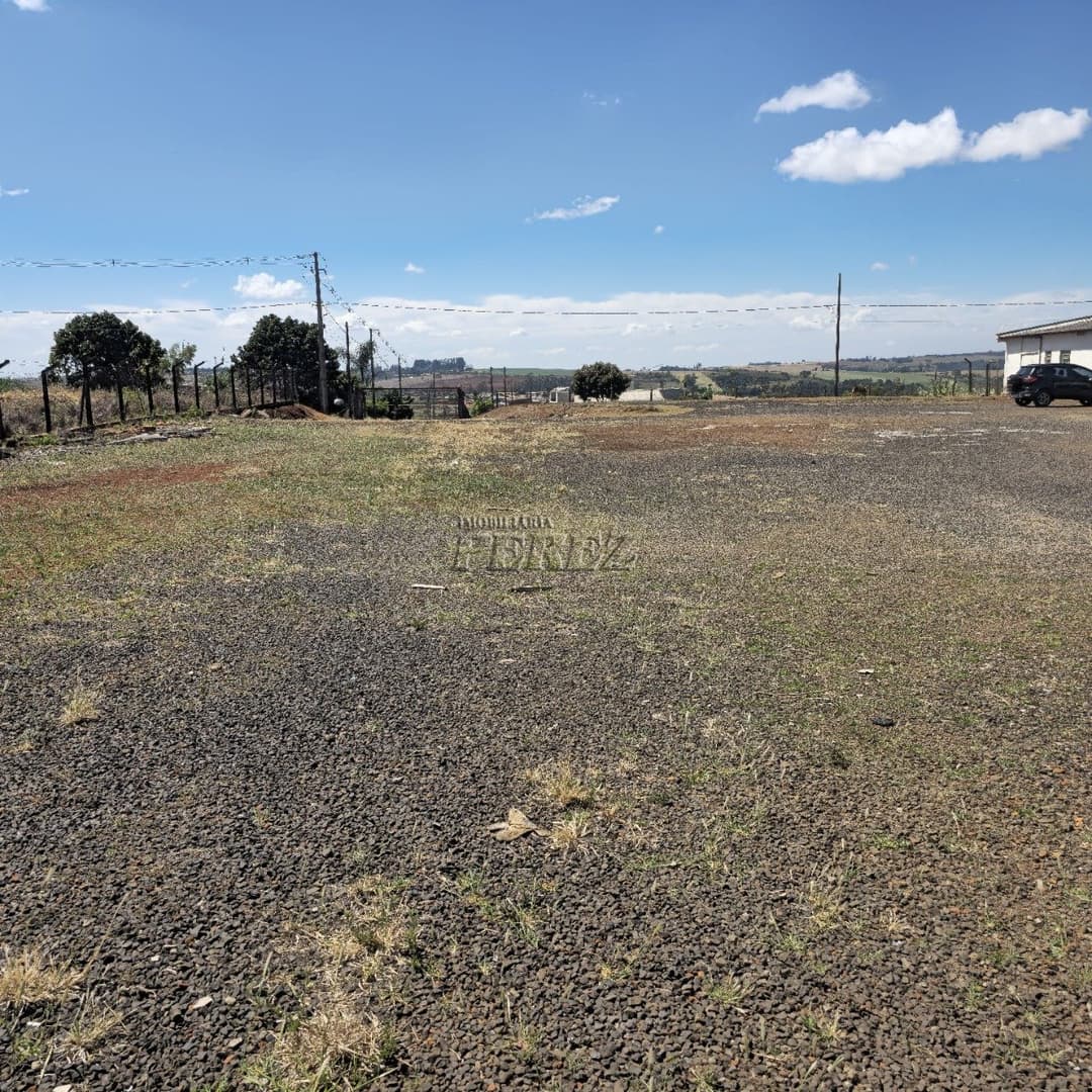 Barracão à venda em Tamarana - Foto 10