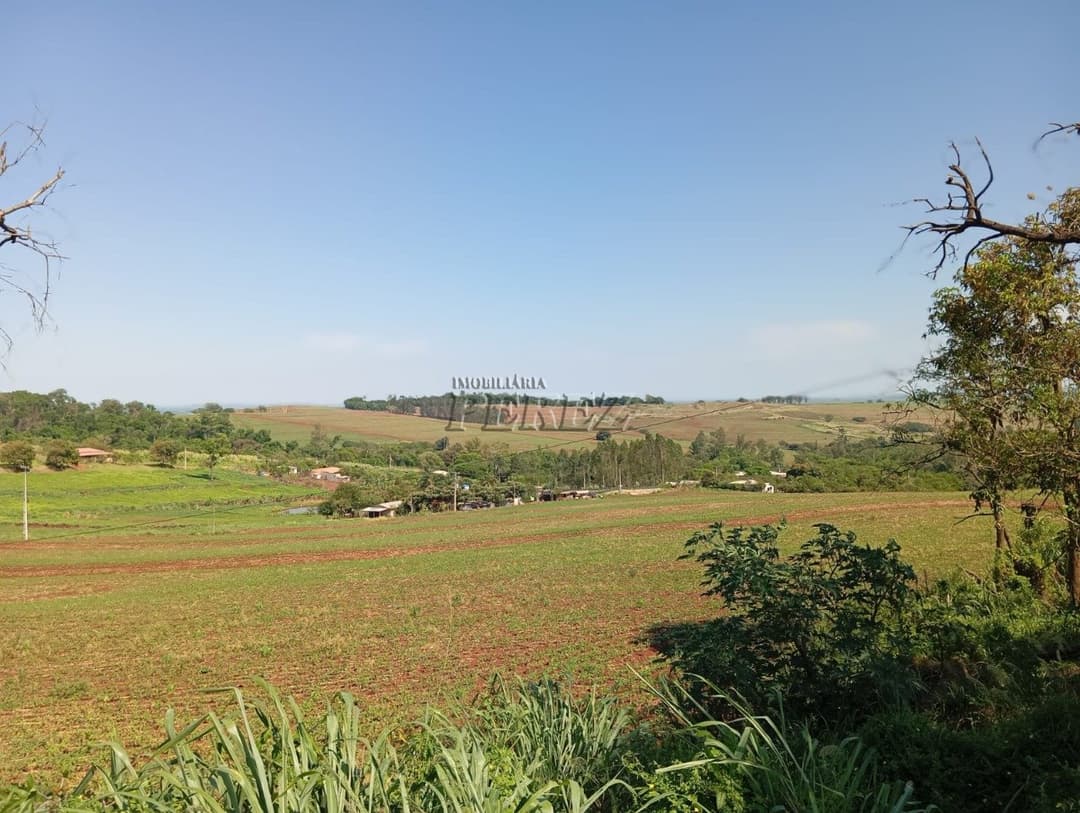 Sítio à venda na região norte de Londrina - Warta - Foto 0