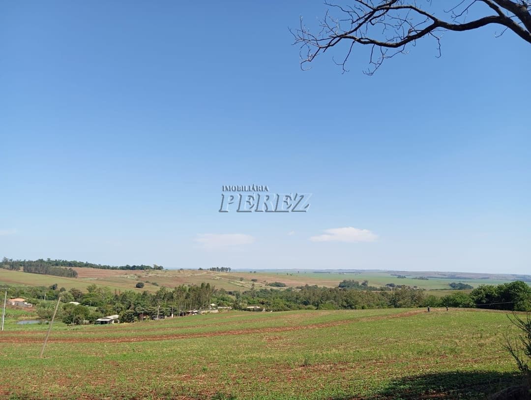 Sítio à venda na região norte de Londrina - Warta - Foto 2