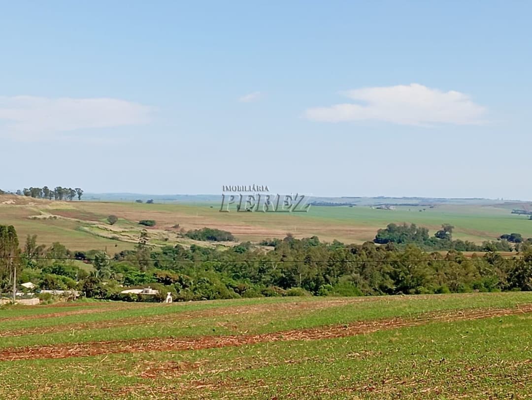 Sítio à venda na região norte de Londrina - Warta - Foto 1