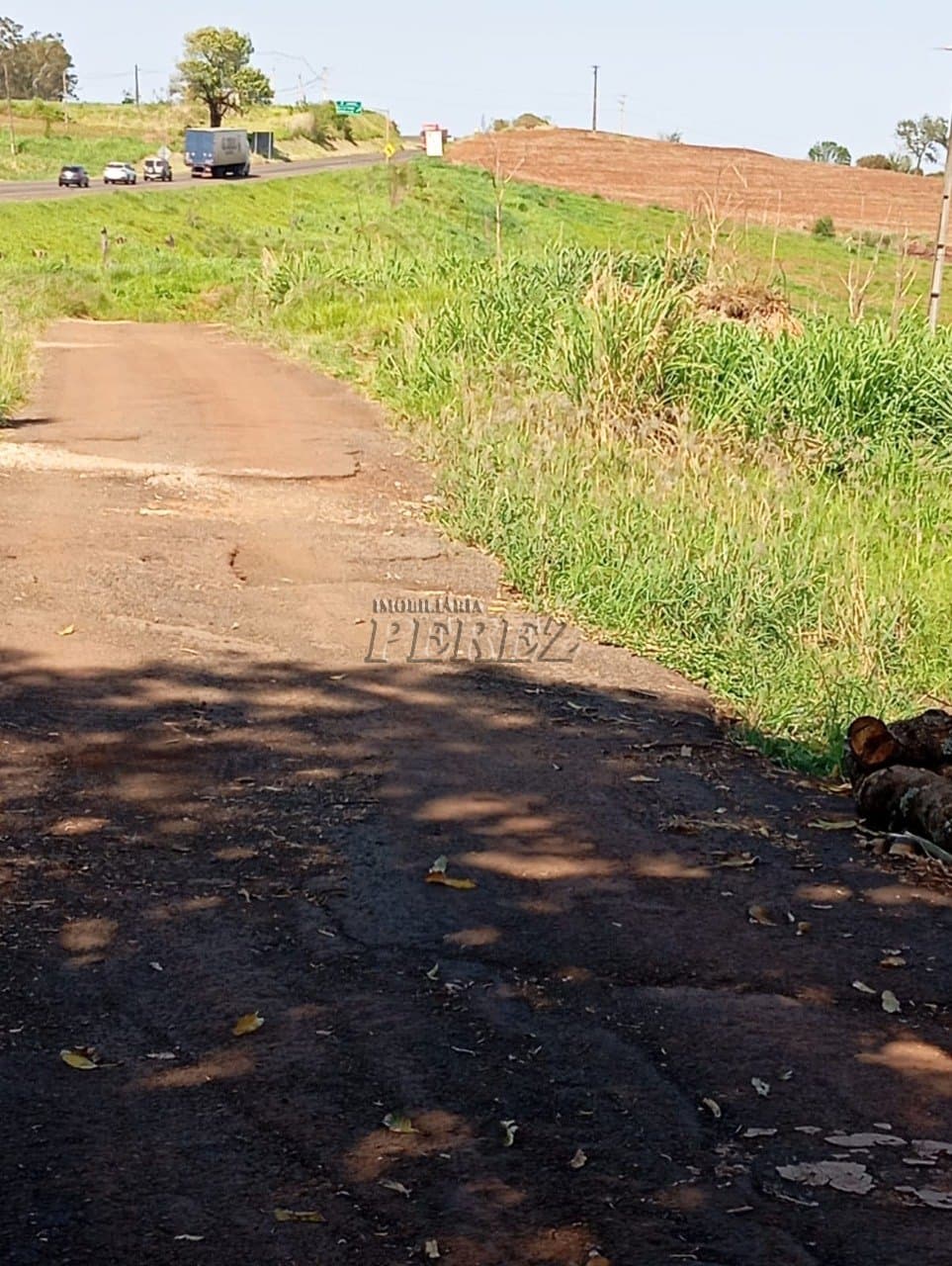 Sítio à venda na região norte de Londrina - Warta - Foto 3