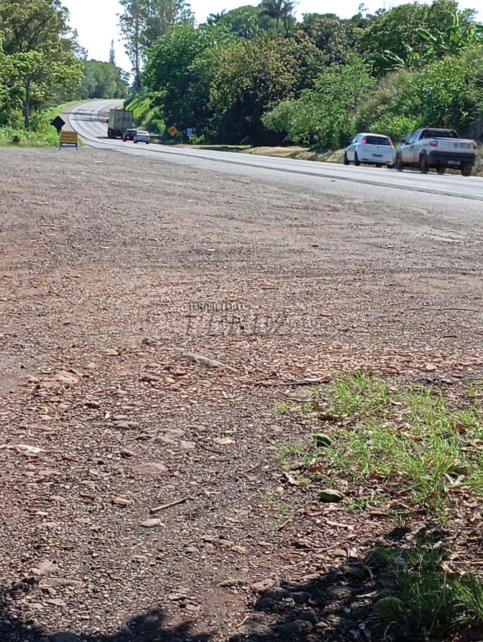 Sítio à venda na região norte de Londrina - Warta - Foto 4