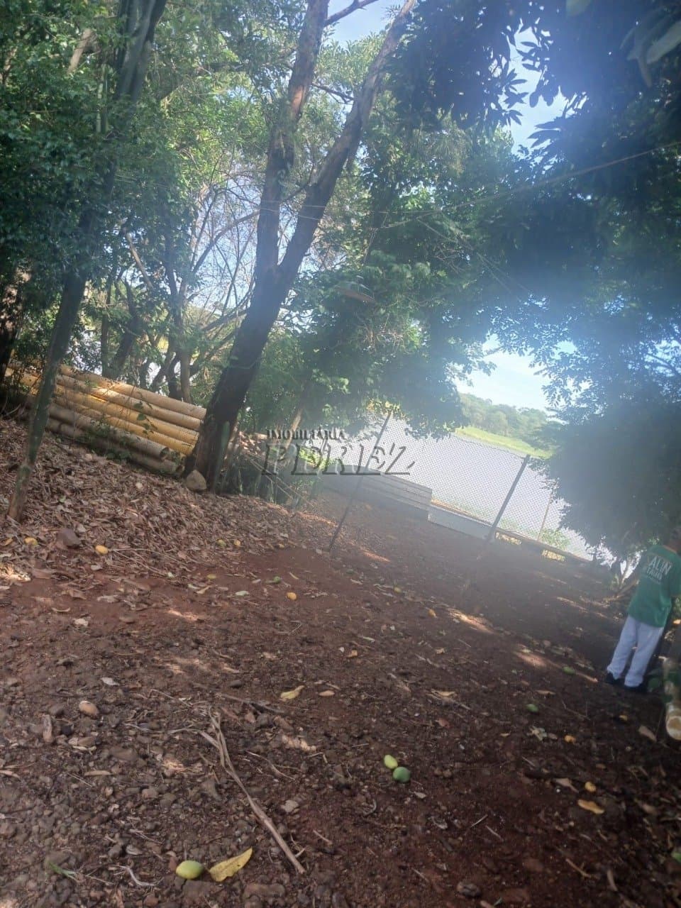 Chácara à venda em Primeiro de Maio - Água do Limoeiro - Foto 9