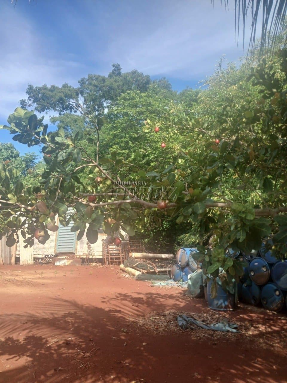 Chácara à venda em Primeiro de Maio - Água do Limoeiro - Foto 10