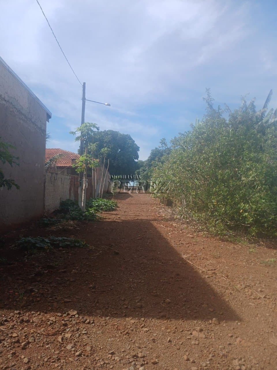 Chácara à venda em Primeiro de Maio - Água do Limoeiro - Foto 12