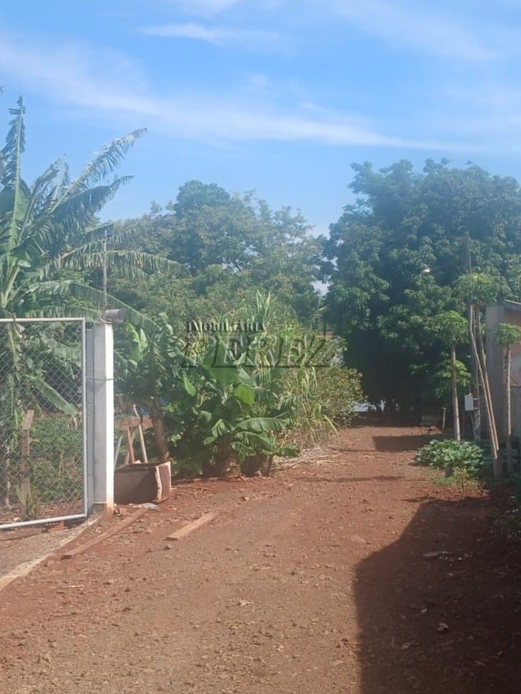 Chácara à venda em Primeiro de Maio - Água do Limoeiro - Foto 1
