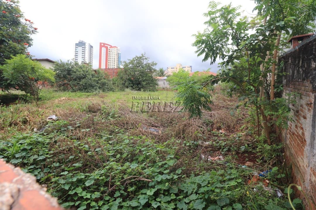 Terreno à venda Rua Sena Martins, região central de Londrina - Foto 4
