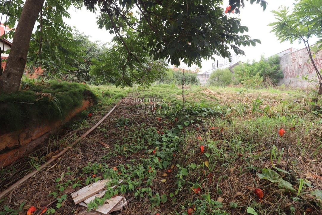 Terreno à venda Rua Sena Martins, região central de Londrina - Foto 5