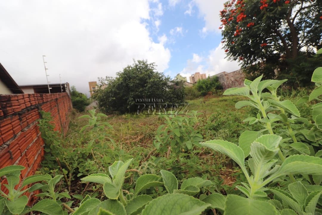 Terreno à venda Rua Sena Martins, região central de Londrina - Foto 6