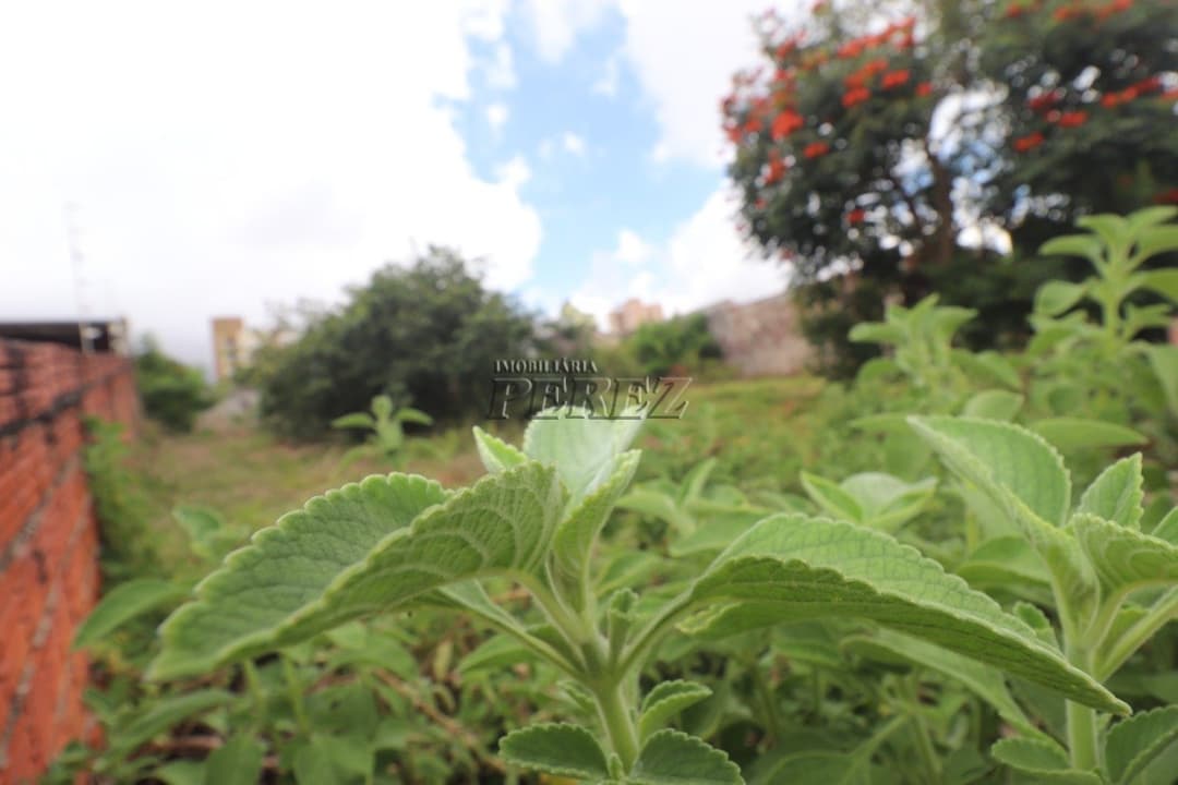 Terreno à venda Rua Sena Martins, região central de Londrina - Foto 7