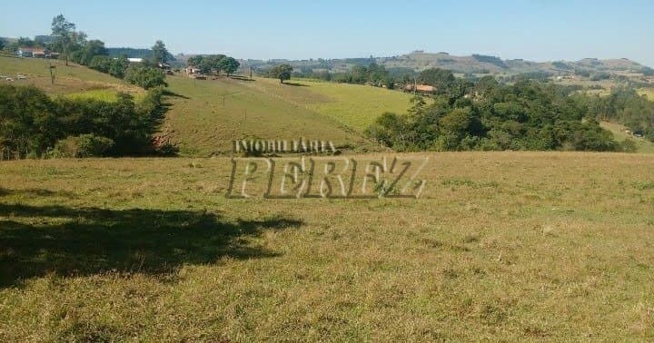 Sítio à venda em Siqueira Campos - Foto 1