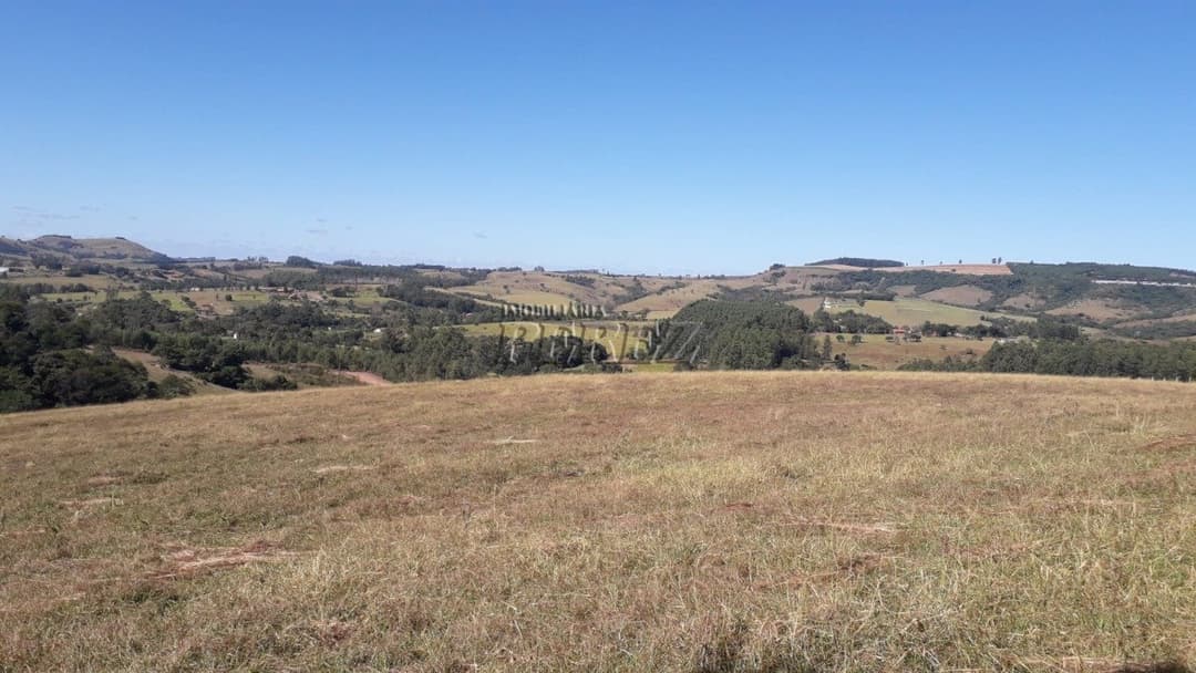 Sítio à venda em Siqueira Campos - Foto 2
