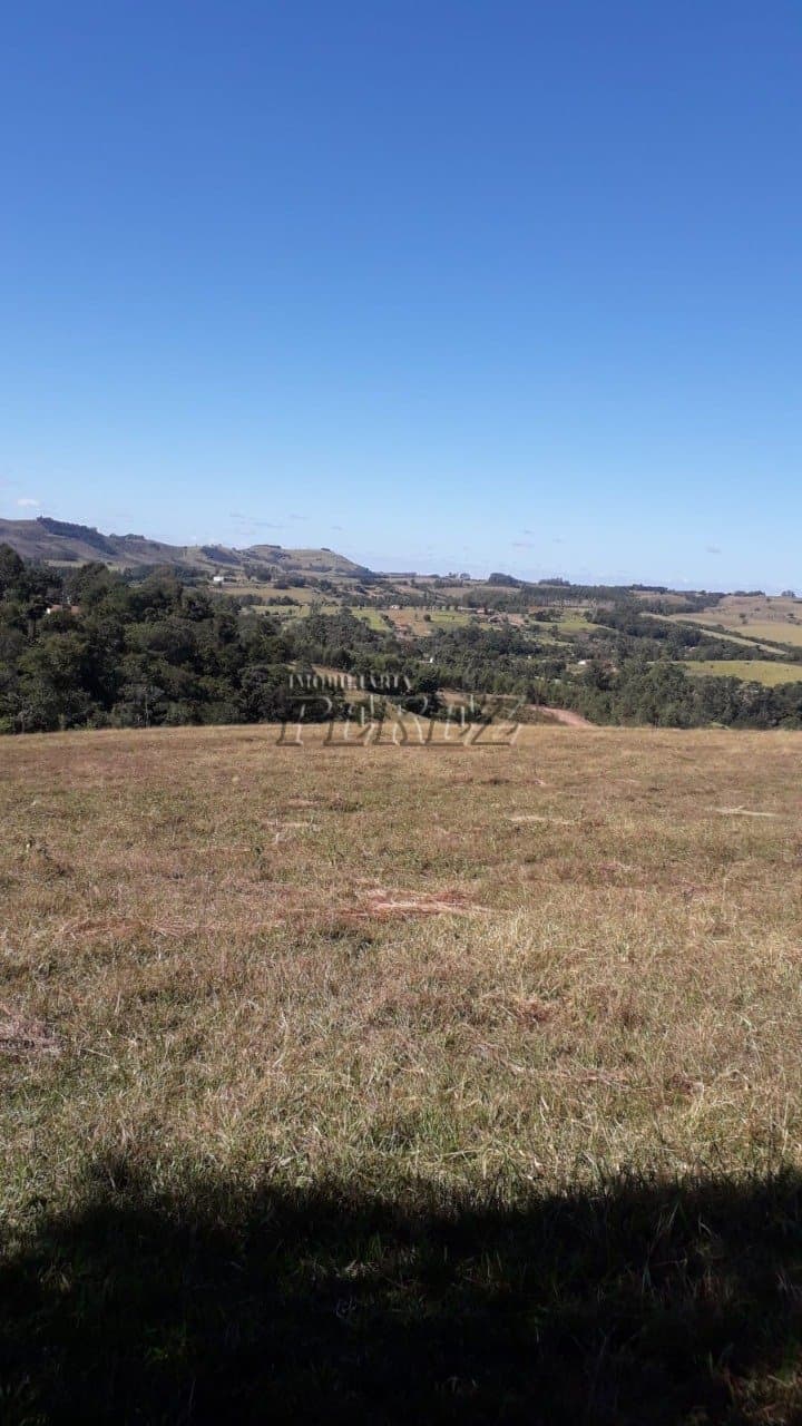 Sítio à venda em Siqueira Campos - Foto 4