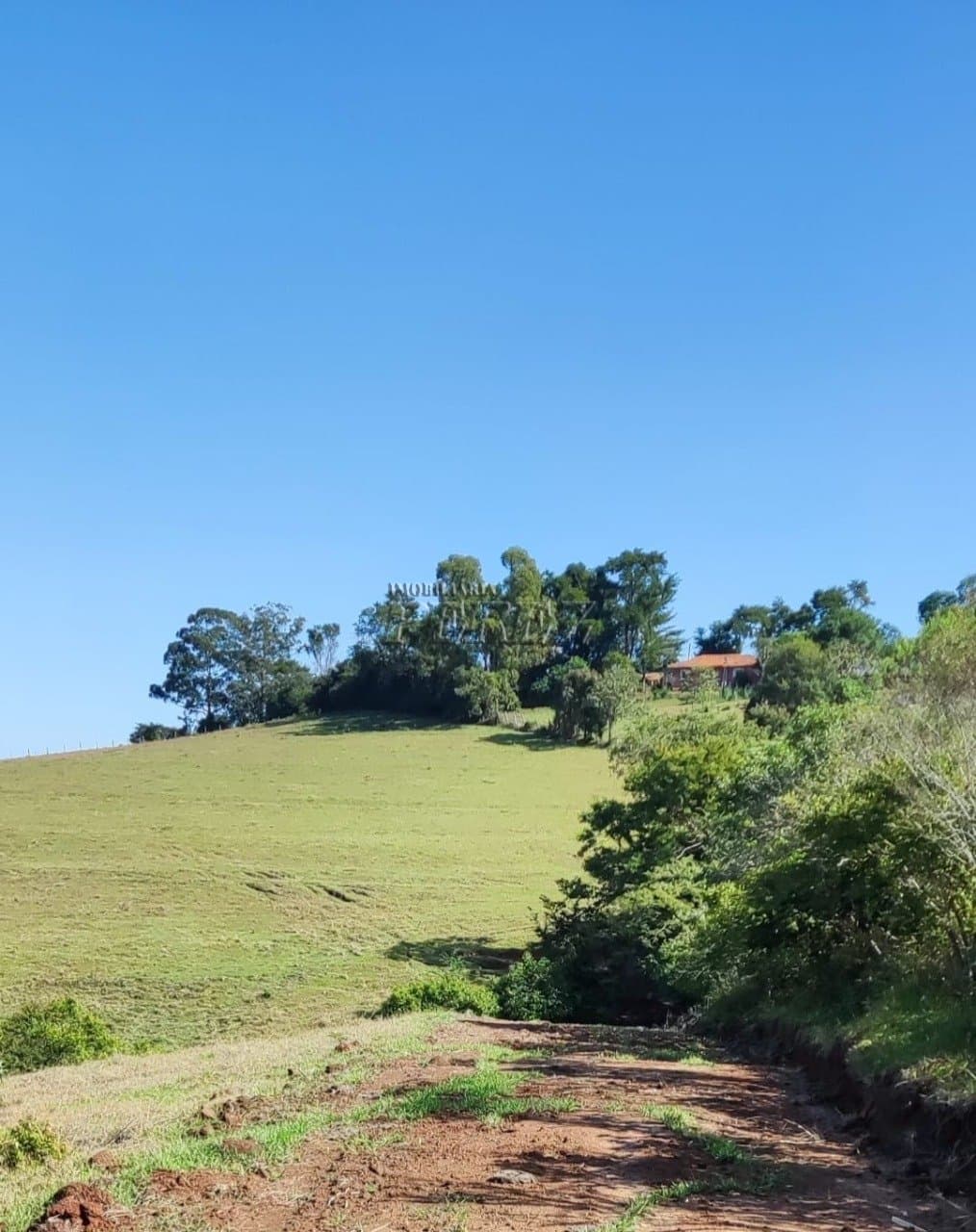 Sítio à venda em Siqueira Campos - Foto 5