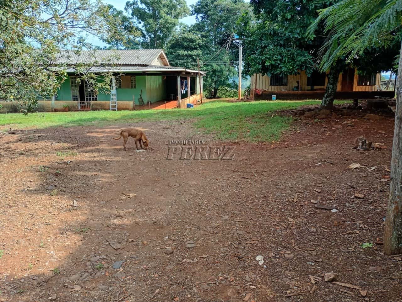 Imóvel rural à venda na Estrada do Posto Serrinha em Londrina — foto principal