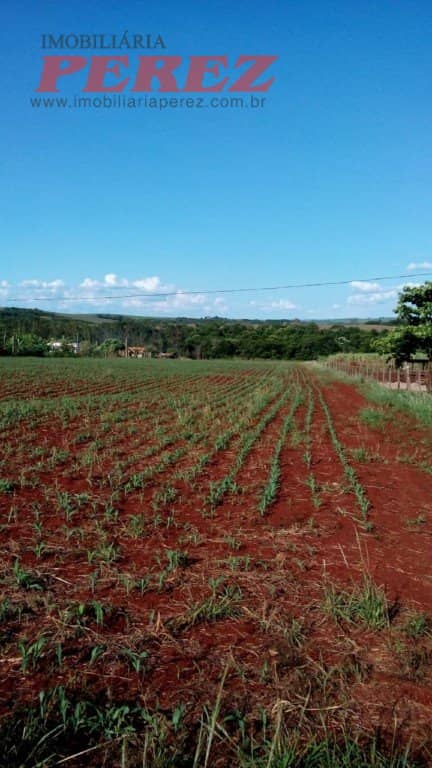 Chácara à venda na Estrada Betânia - Natureza, tranquilidade e ótima localização em Londrina! - Foto 3