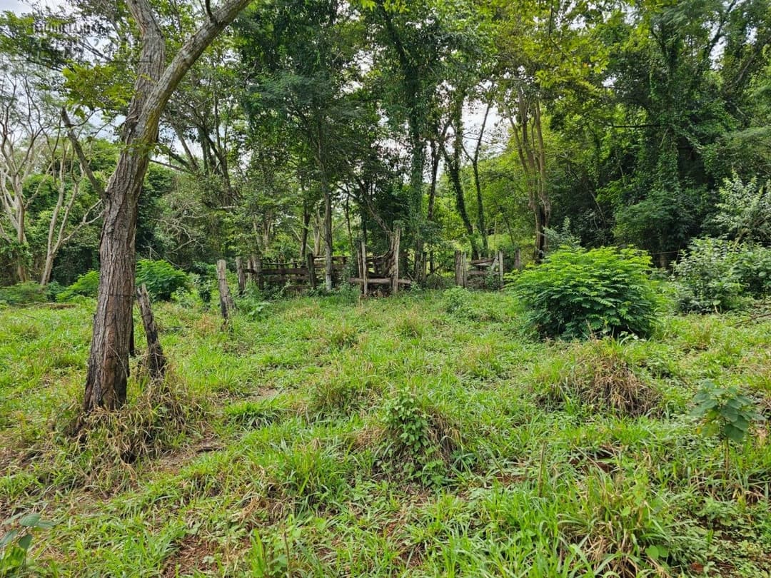 Venda de Sítio Exclusivo às Margens do Rio Tibagi - Recanto da Onça, Assaí/PR Apresentamos o Recanto da Onça Parda, um verdadeiro tesouro natur - Foto 8