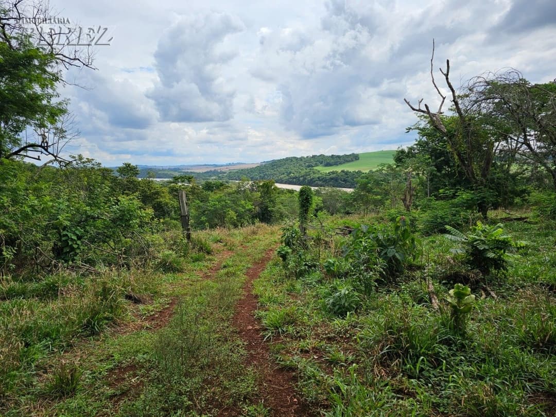 Venda de Sítio Exclusivo às Margens do Rio Tibagi - Recanto da Onça, Assaí/PR Apresentamos o Recanto da Onça Parda, um verdadeiro tesouro natur - Foto 6