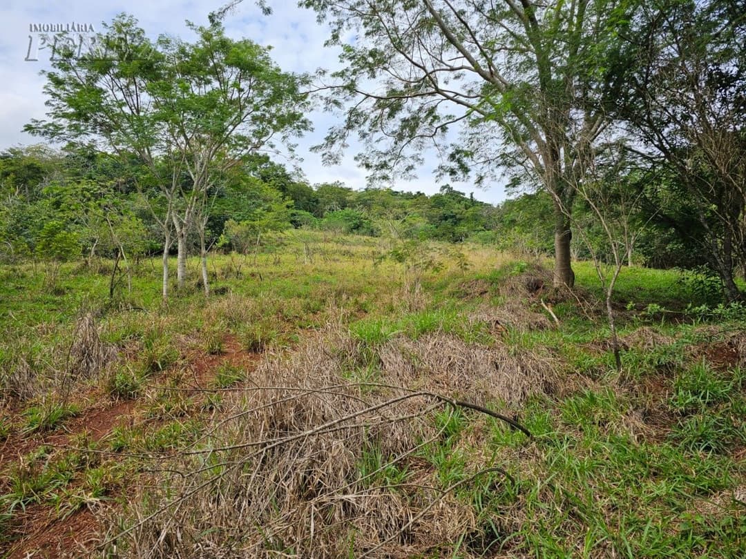 Venda de Sítio Exclusivo às Margens do Rio Tibagi - Recanto da Onça, Assaí/PR Apresentamos o Recanto da Onça Parda, um verdadeiro tesouro natur - Foto 9