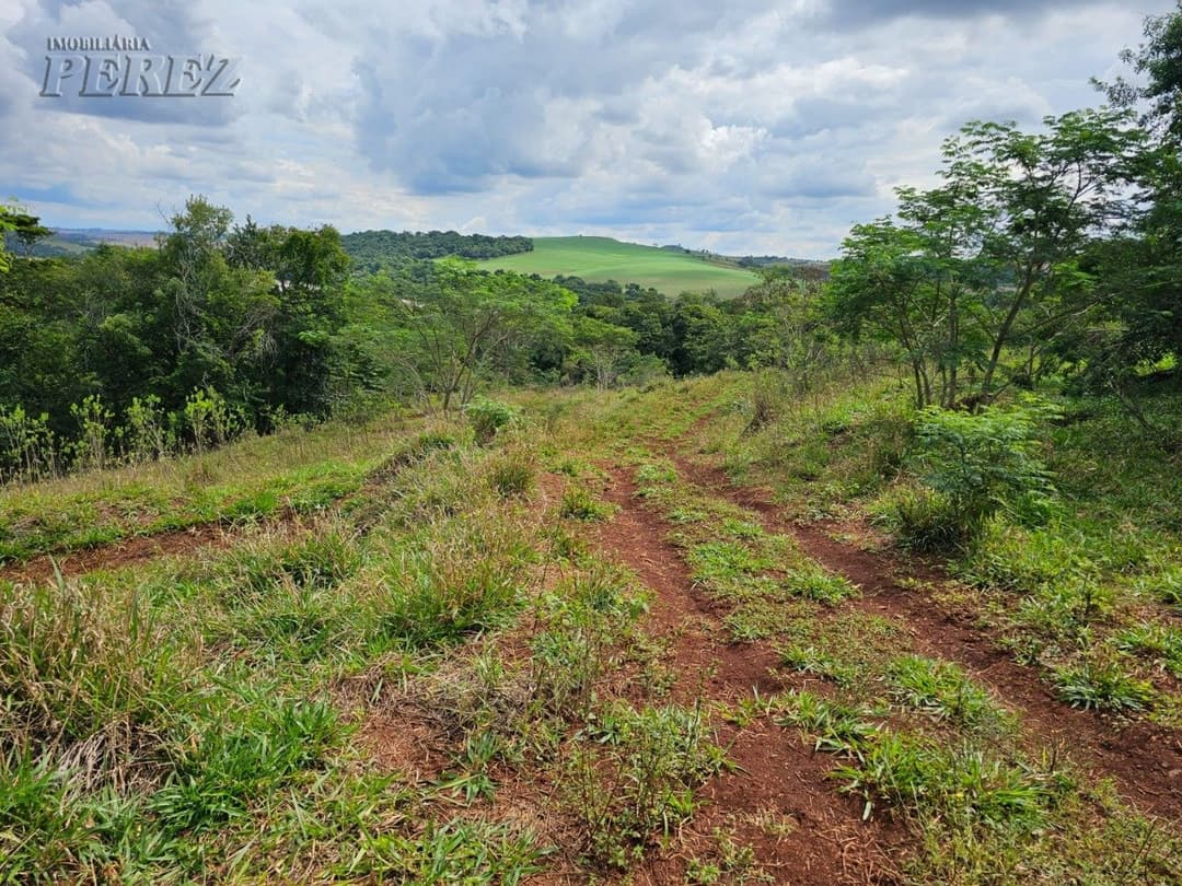 Venda de Sítio Exclusivo às Margens do Rio Tibagi - Recanto da Onça, Assaí/PR Apresentamos o Recanto da Onça Parda, um verdadeiro tesouro natur - Foto 10