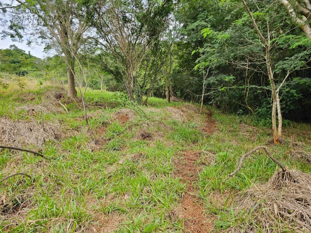 Venda de Sítio Exclusivo às Margens do Rio Tibagi - Recanto da Onça, Assaí/PR Apresentamos o Recanto da Onça Parda, um verdadeiro tesouro natur - Foto 11