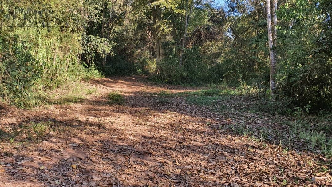 Venda de Sítio Exclusivo às Margens do Rio Tibagi - Recanto da Onça, Assaí/PR Apresentamos o Recanto da Onça Parda, um verdadeiro tesouro natur - Foto 7