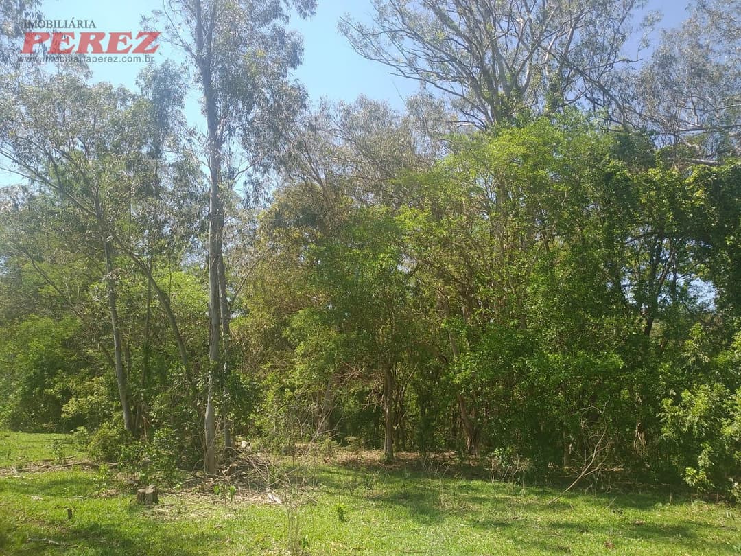 Sítio à Venda em Nova América da Colina - Foto 1