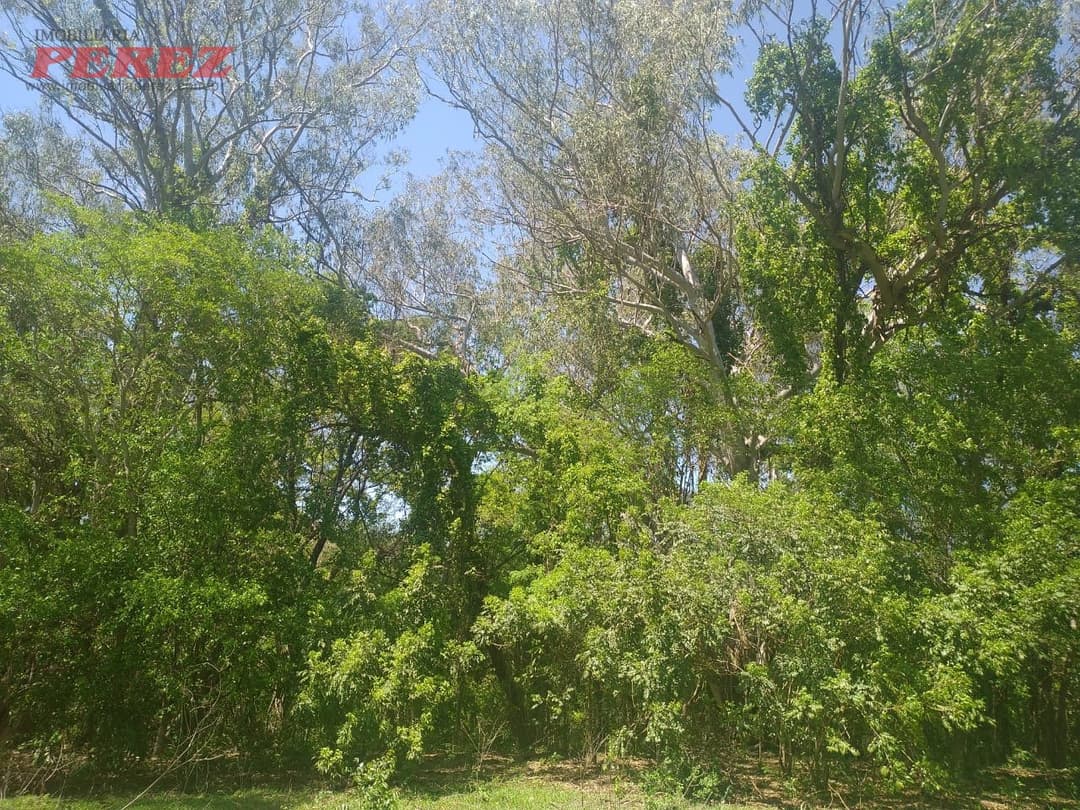 Sítio à Venda em Nova América da Colina - Foto 2