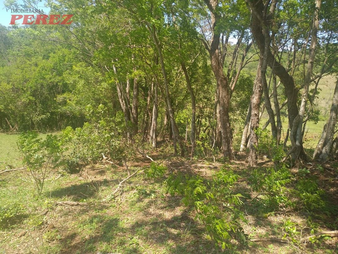 Sítio à Venda em Nova América da Colina - Foto 3