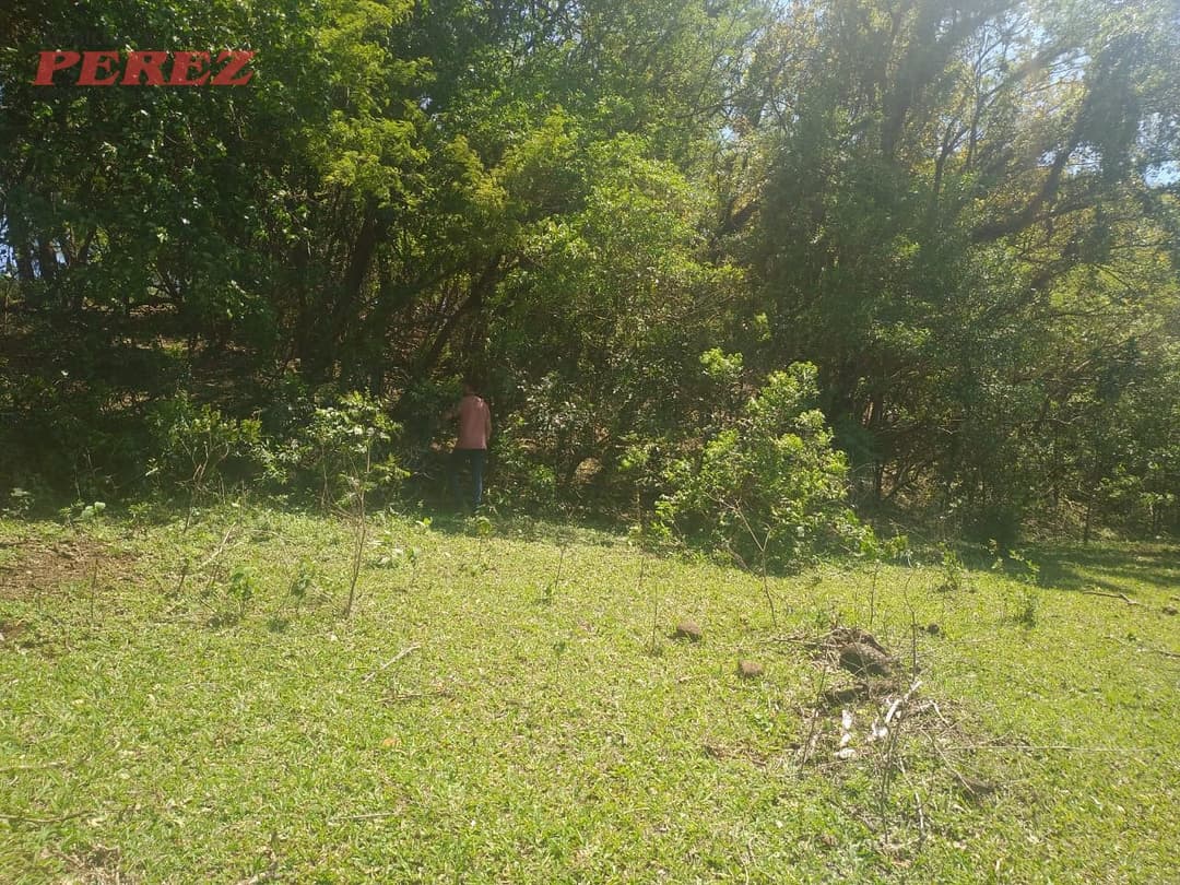 Sítio à Venda em Nova América da Colina - Foto 5