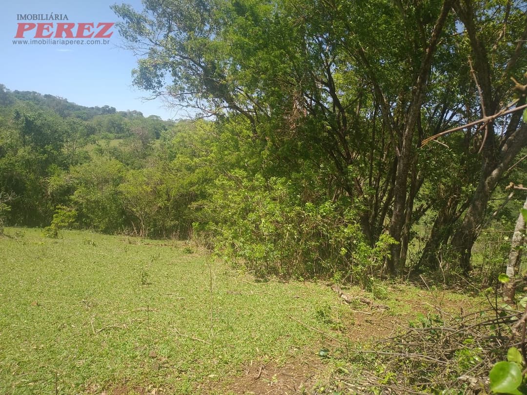 Sítio à Venda em Nova América da Colina - Foto 6