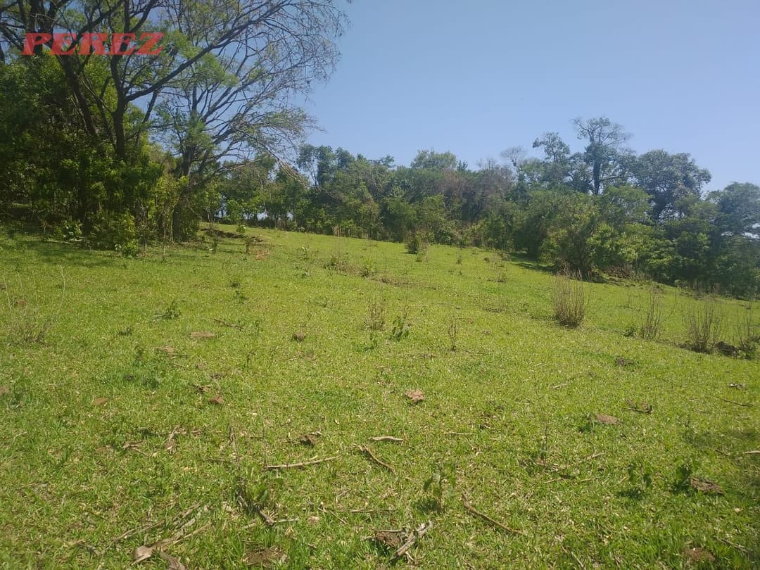 Sítio à Venda em Nova América da Colina - Foto 7