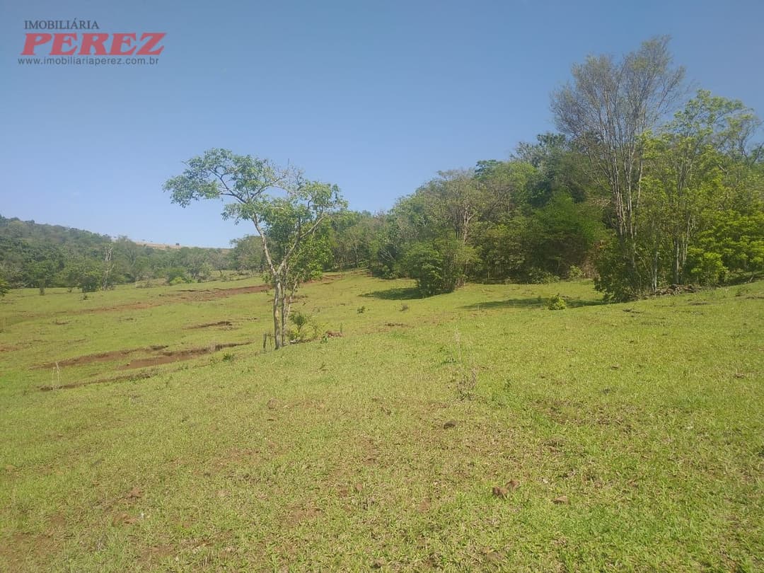 Sítio à Venda em Nova América da Colina - Foto 10