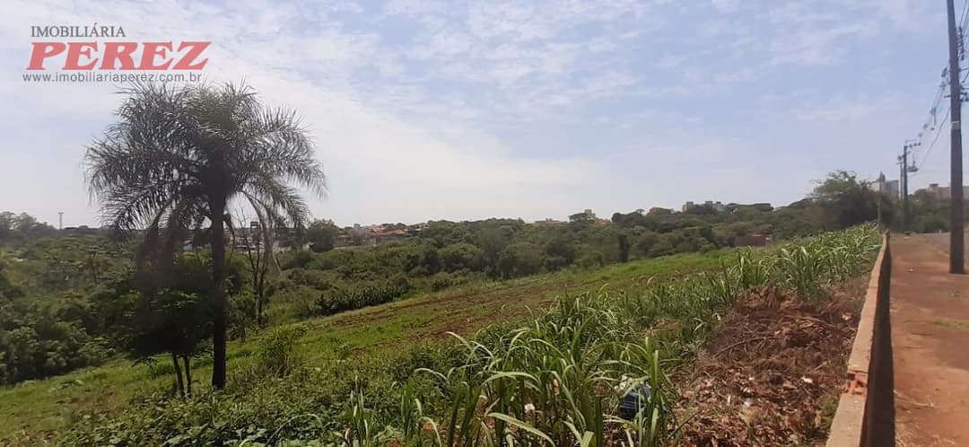 A Imobiliária Perez oferece à você essa ótima oportunidade de investimento em compra de terreno em Londrina: - Foto 5